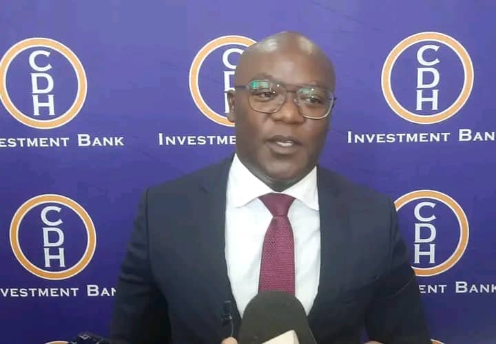 CDH Investment Bank Appoints Thoko Mkavea as New CEO