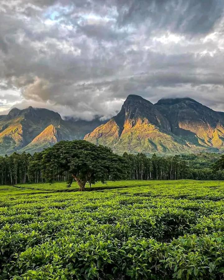 Malawi to launch national tourism month